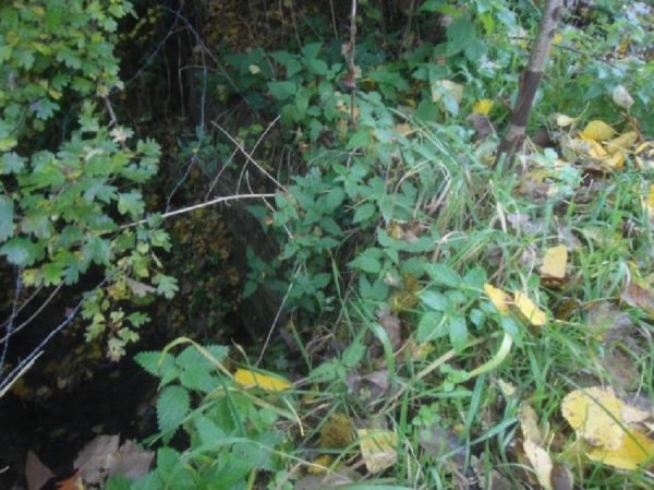 Vlammemolen Watermolen Vandermassen