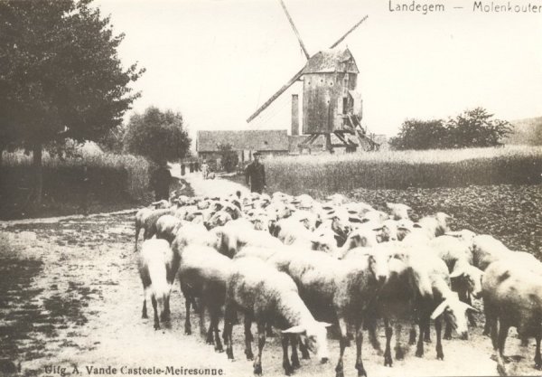 Heirenthoekmolen Herenthoekmolen