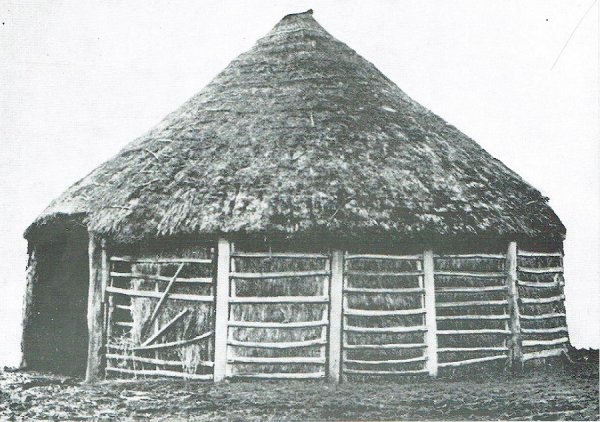 Rosmolen van Maldegem-Donk