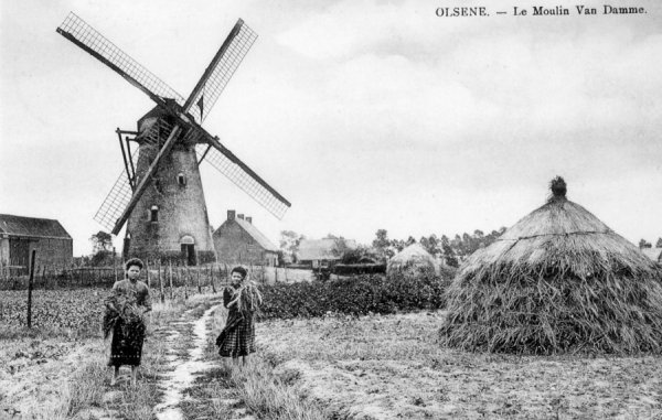 Molen Van Damme Nieuwe Molen Stenemolen