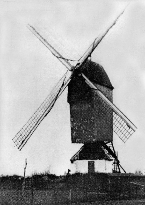 Nieuwe Molen Molen De Wart