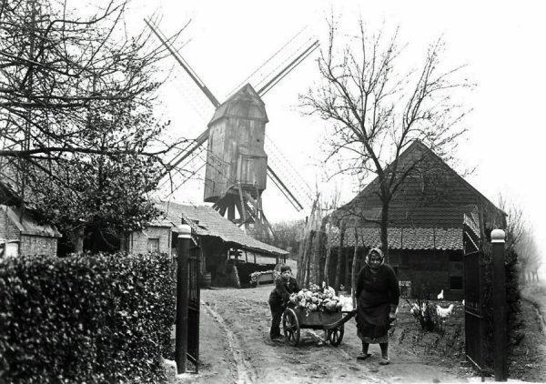 Fonteinemolen Korenmolen Cornelis Braemmolen