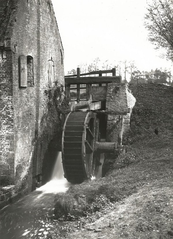 Van Themsches moleken