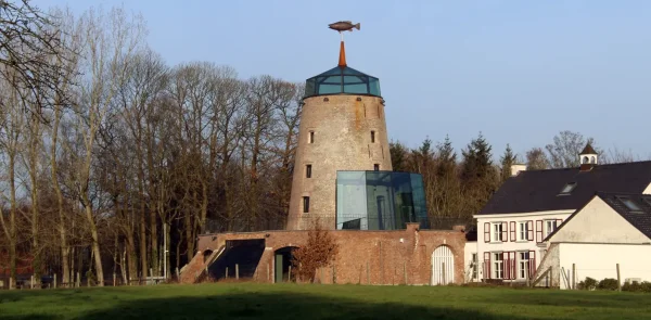 Nieuwe Molen Molen De Vis