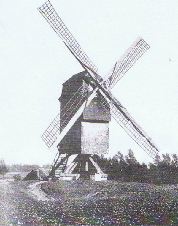 Kameelmolen Molen Tielemans