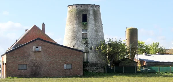 Molen Van Damme Van Dammemolen Waeremolen