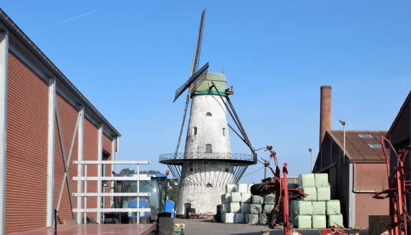 Molen Ter Geest en te Zande Molen Declercq