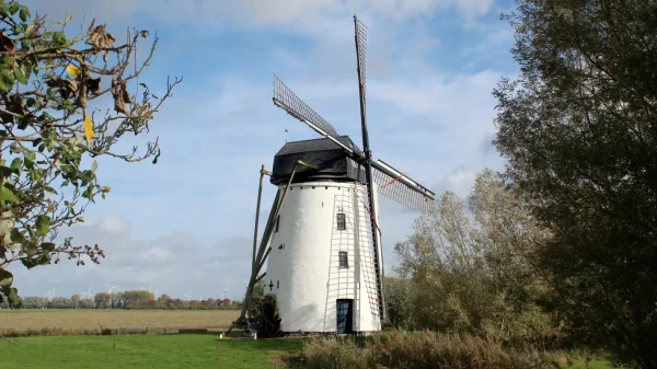 Grote Molen Poldermolen