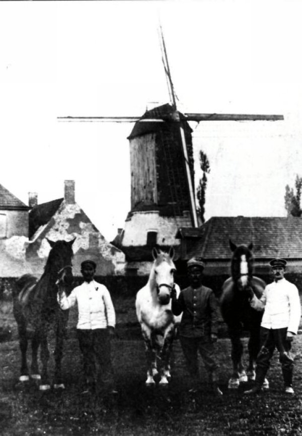 Lioens molen Molen Lioen