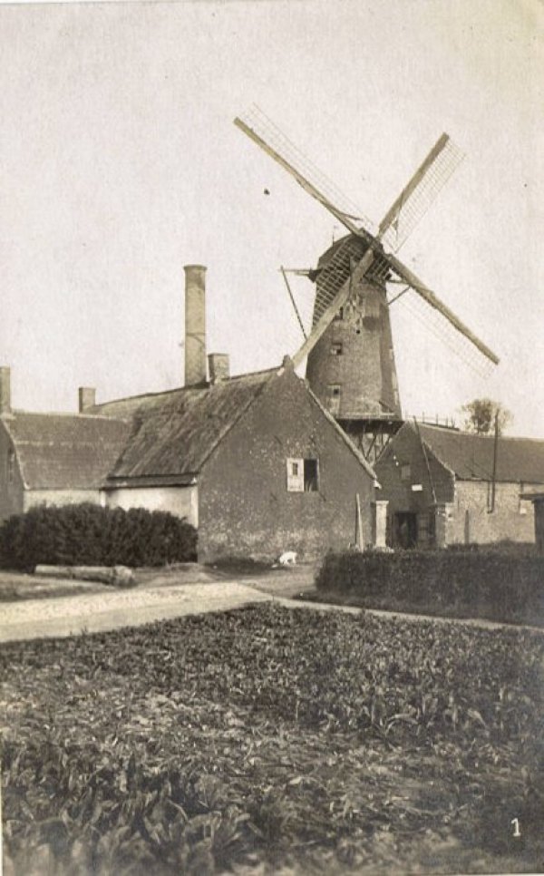 Noordmolen Stenen Molen Molen Termote Molen Delbeke