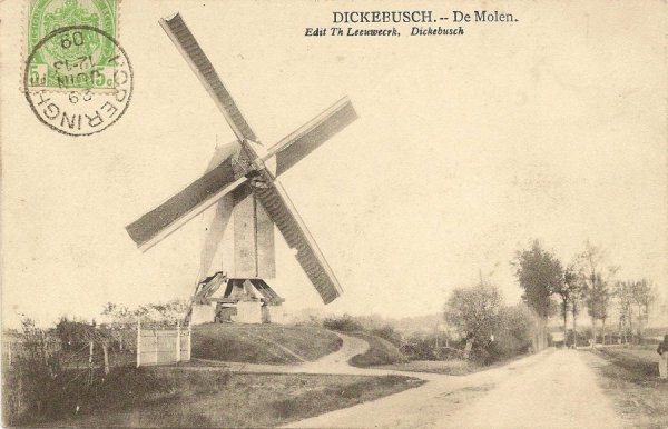 Dikkebusmolen Dorpsmolen Molen Coene Molen Bailleul