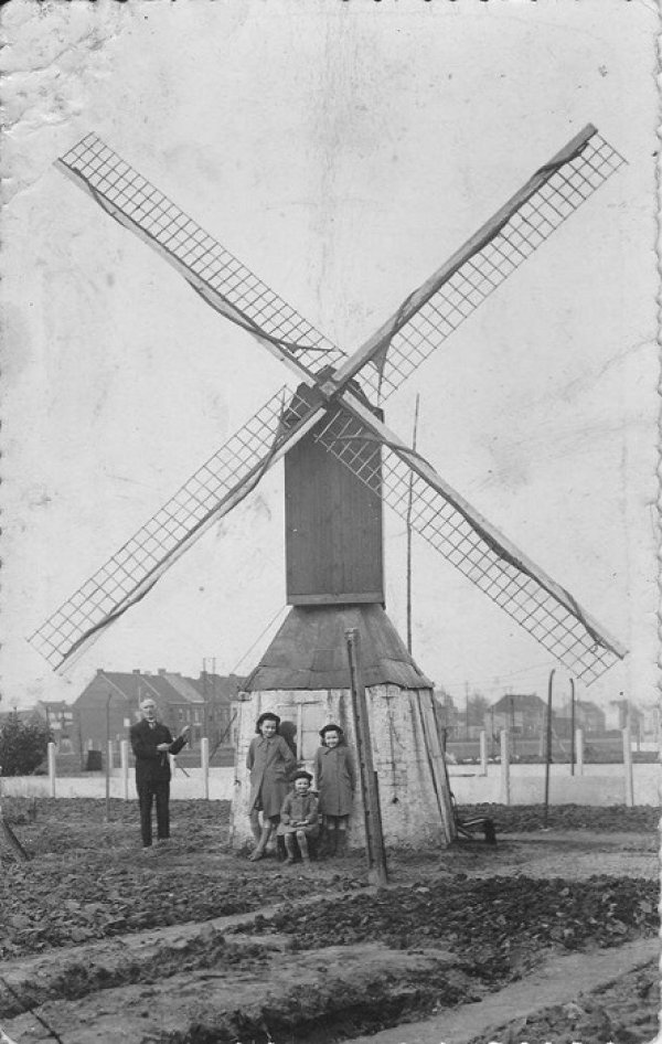 Molentje van Staf Verbrugge