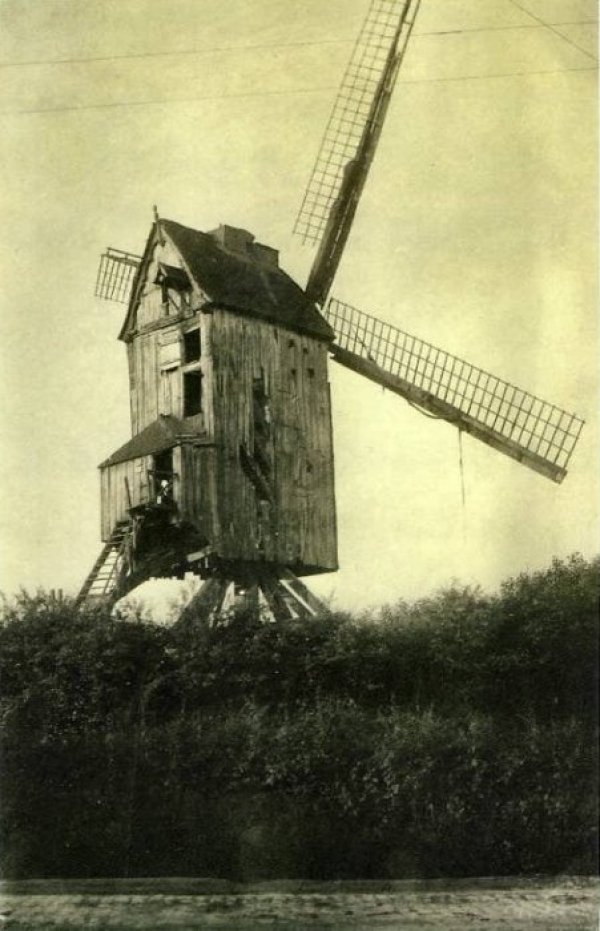 't Hogemolen Oliemolen