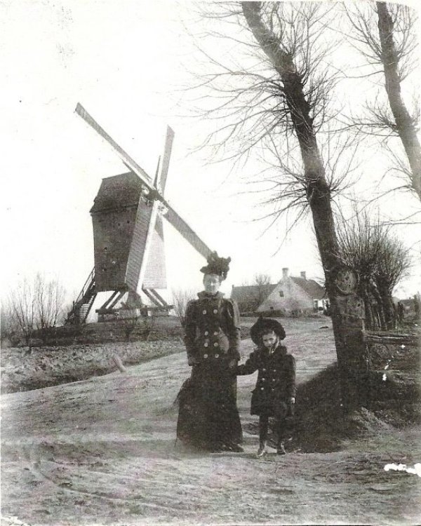 Hondekensmolen Schoonveldemolen Schoonveltmolen