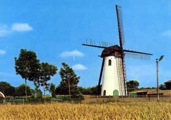 Witte Molen De Lissewegenaar