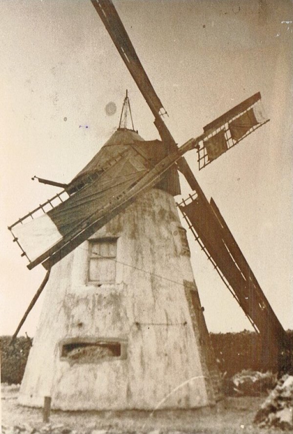 Molentje van Bruiloos (Bruloze)