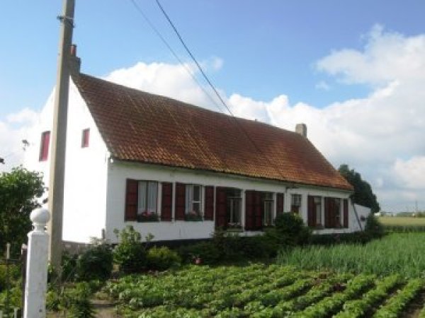 Strokotmolen Molen ter Loo Westmolen