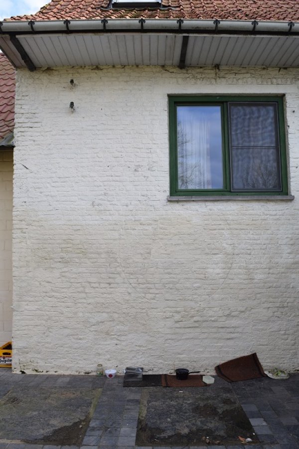 Hondenmolen van de Belle-Weeden Hove