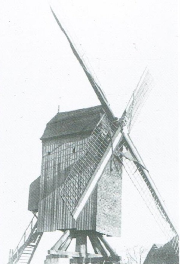 De Korenblomme De Korenbloem De Koornbloem