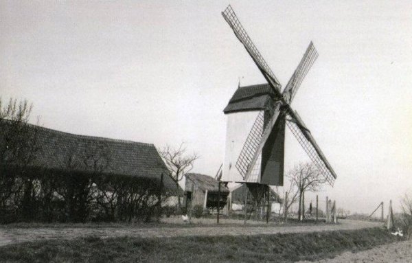 Dorpsmolen Vijfwegemolen Molen Maelfeyt