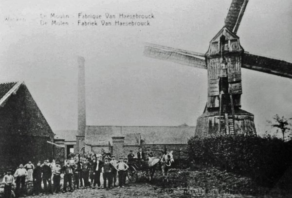 Molen De Volder Molen Haesebrouck