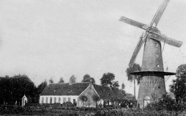 Roonemolen Blankaartmolen Molen Eduwaere
